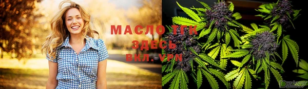 тгк Пересвет