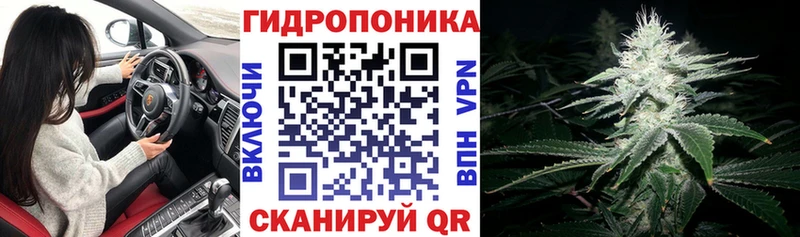 где можно купить   Северская  Бошки марихуана Ganja 