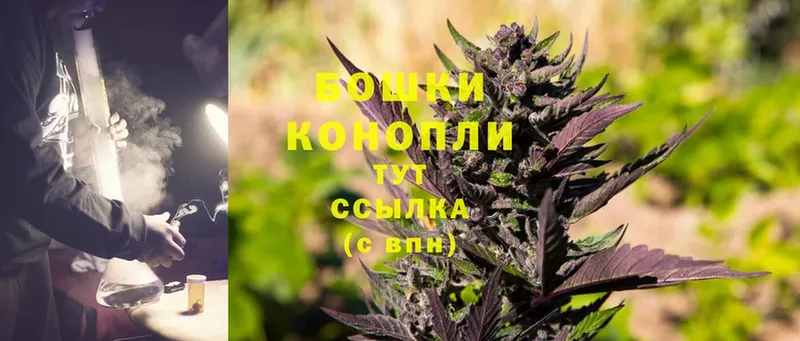 купить наркотики цена  Северская  Шишки марихуана OG Kush 